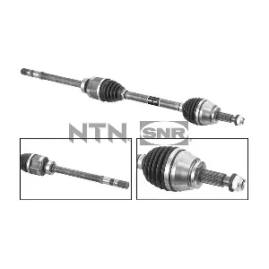 DK55.254 SNR