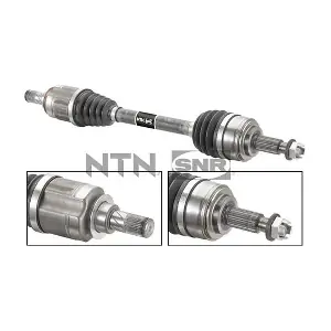DK55.203 SNR