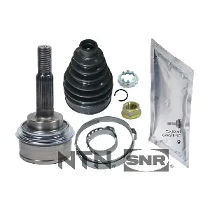 SNR OJK69.003