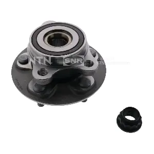 SNR R169124