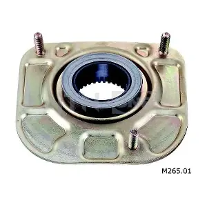 M265.01 SNR