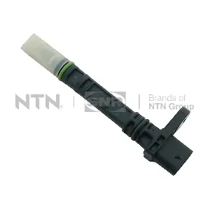 CKP167.01 SNR