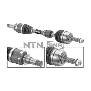 DK55.208 SNR