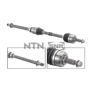 DK55.207 SNR