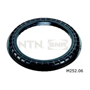 SNR M252.06