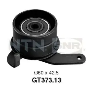 GT37313 SNR
