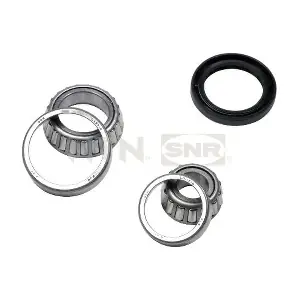 SNR R169.01