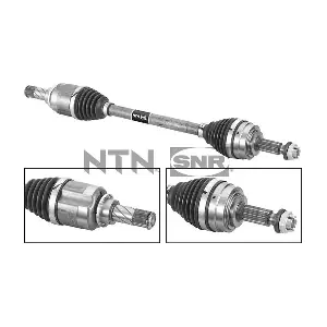 DK55.239 SNR