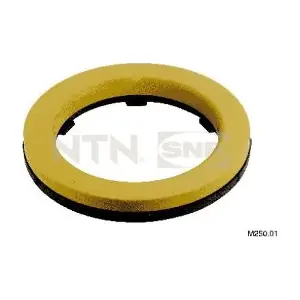 M250.01 SNR