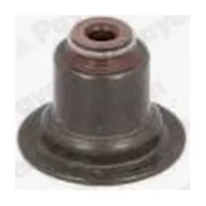 PAYEN PA6070