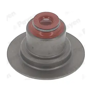 PAYEN HR5145