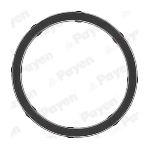 PAYEN JD6172