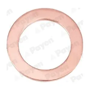 PAYEN KG5095