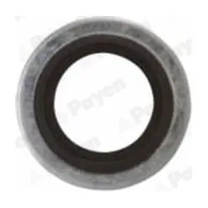 PAYEN PB852