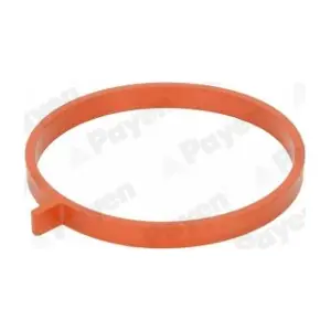PAYEN JD6186