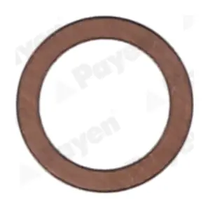 PAYEN KG5366