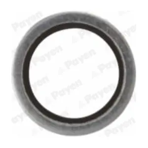 PAYEN KG5341