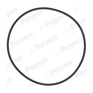 PAYEN HL5383