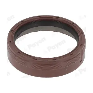NA5505 PAYEN
