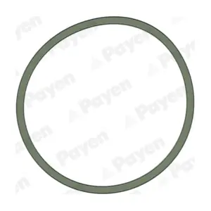 PAYEN JD5228