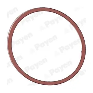 PAYEN JD5107