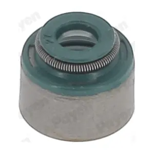 PAYEN HR5151