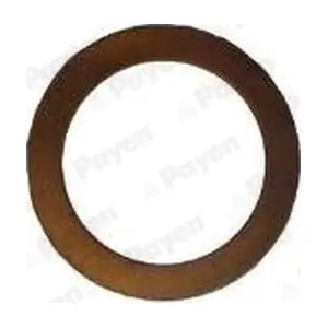 PAYEN KG5384