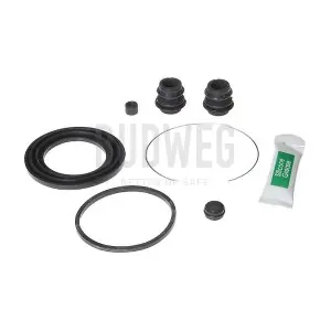 206031 BUDWEG CALIPER