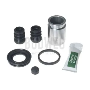 209034 BUDWEG CALIPER
