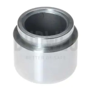 234206 BUDWEG CALIPER