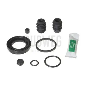 203877 BUDWEG CALIPER