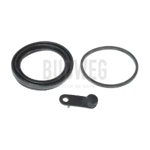 186005 BUDWEG CALIPER