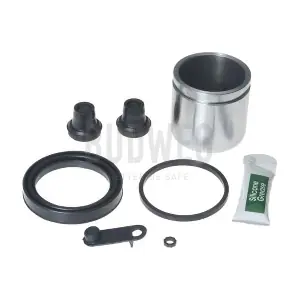 2090295 BUDWEG CALIPER