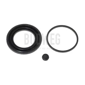 206061 BUDWEG CALIPER