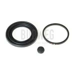 1848102 BUDWEG CALIPER