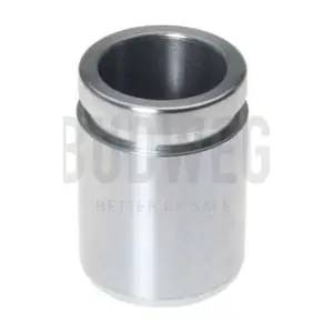 233518 BUDWEG CALIPER