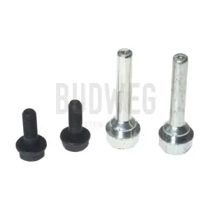 169163 BUDWEG CALIPER