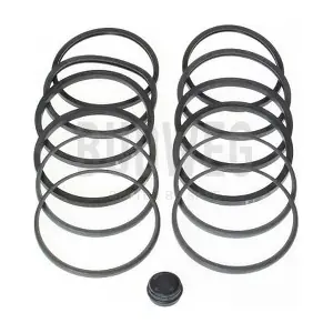 204602 BUDWEG CALIPER