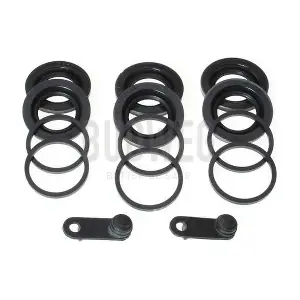 183437 BUDWEG CALIPER