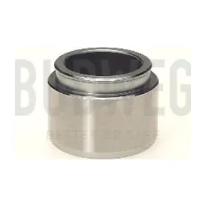 233801 BUDWEG CALIPER