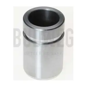 233022 BUDWEG CALIPER