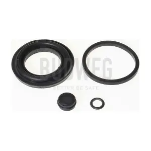 203803 BUDWEG CALIPER