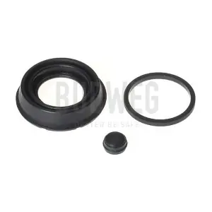 183629 BUDWEG CALIPER