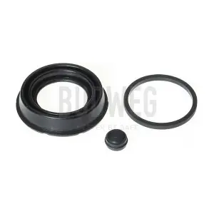 184027 BUDWEG CALIPER