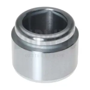 234405 BUDWEG CALIPER