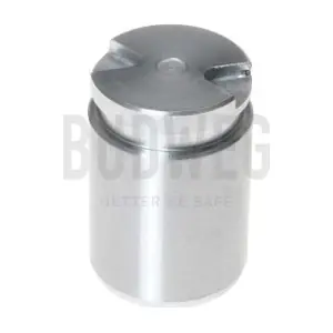 233010 BUDWEG CALIPER