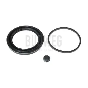 186605 BUDWEG CALIPER