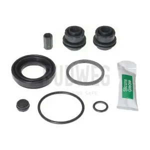 203896 BUDWEG CALIPER