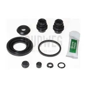 203889 BUDWEG CALIPER