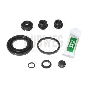 203879 BUDWEG CALIPER